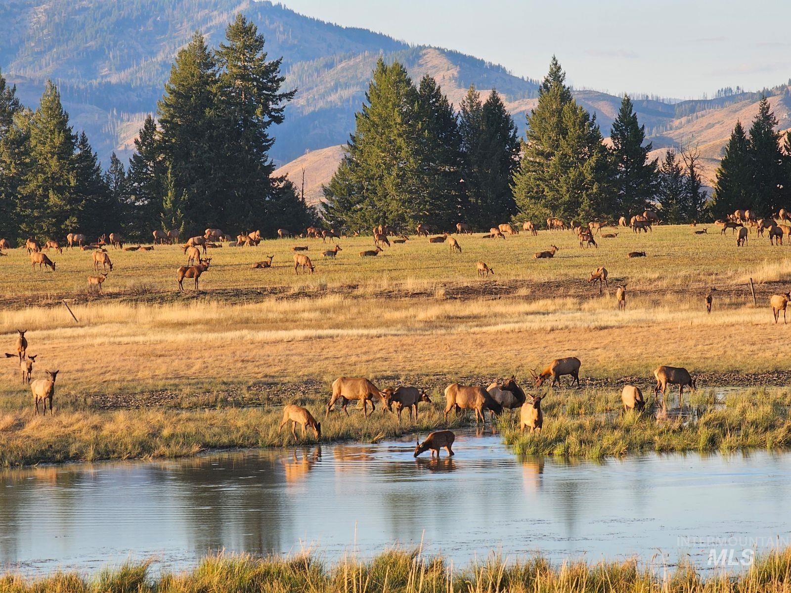 Northeast Little Camas Reservoir Road Mountain Home, ID 83647 - Photo 6 of 25