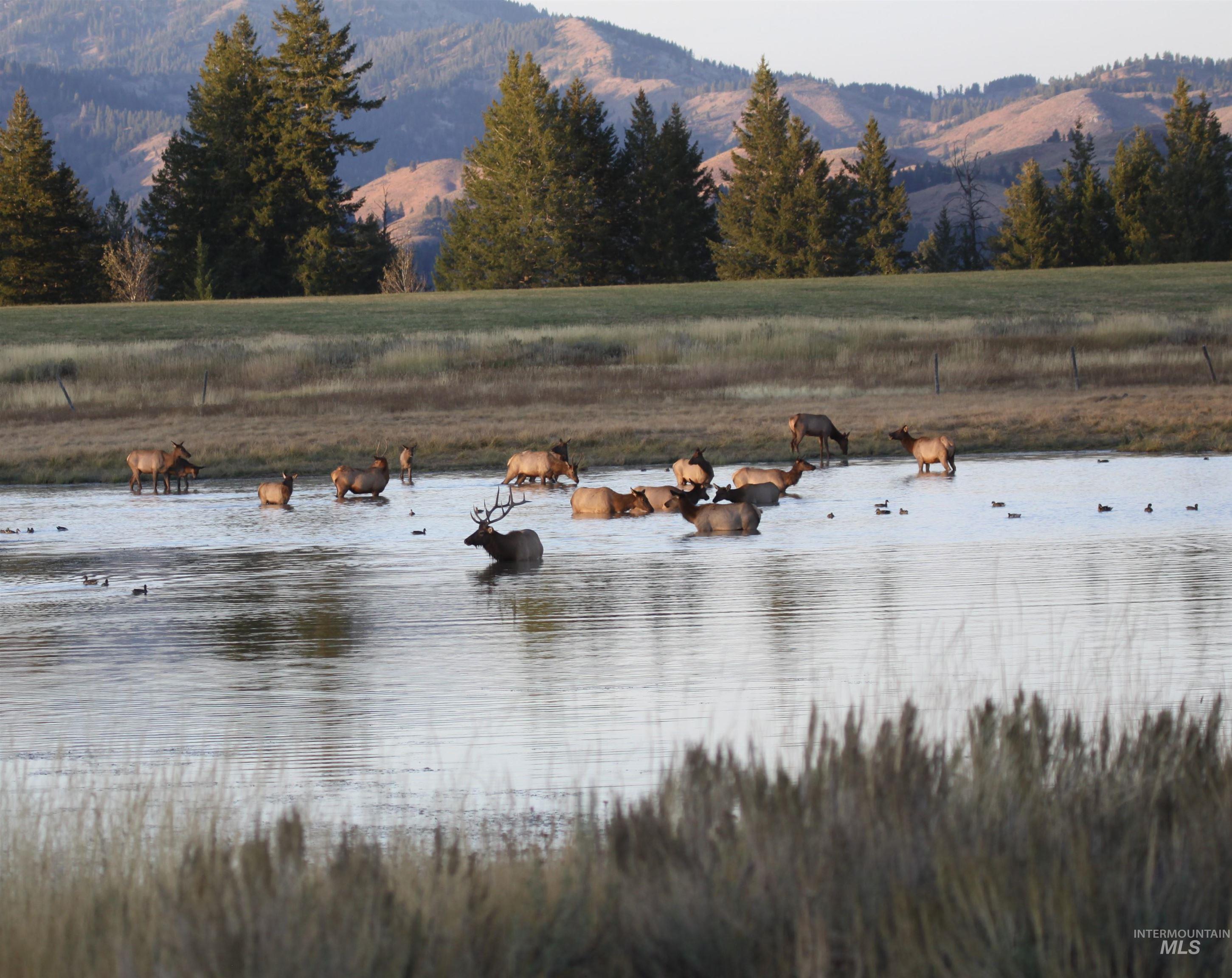 Northeast Little Camas Reservoir Road Mountain Home, ID 83647 - Photo 7 of 25