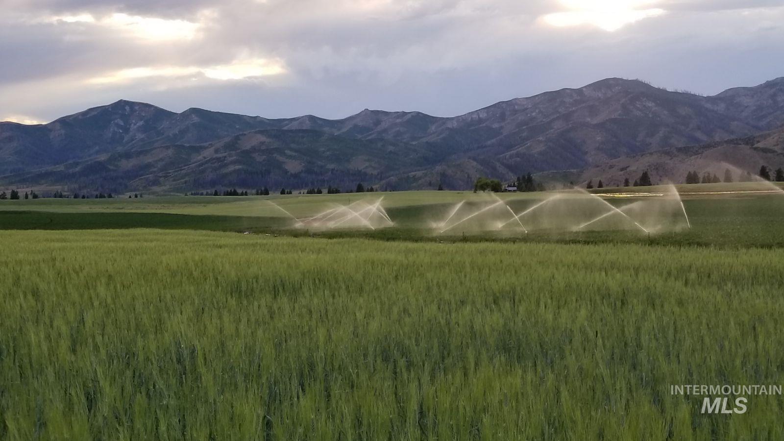 Northeast Little Camas Reservoir Road Mountain Home, ID 83647 - Photo 10 of 25