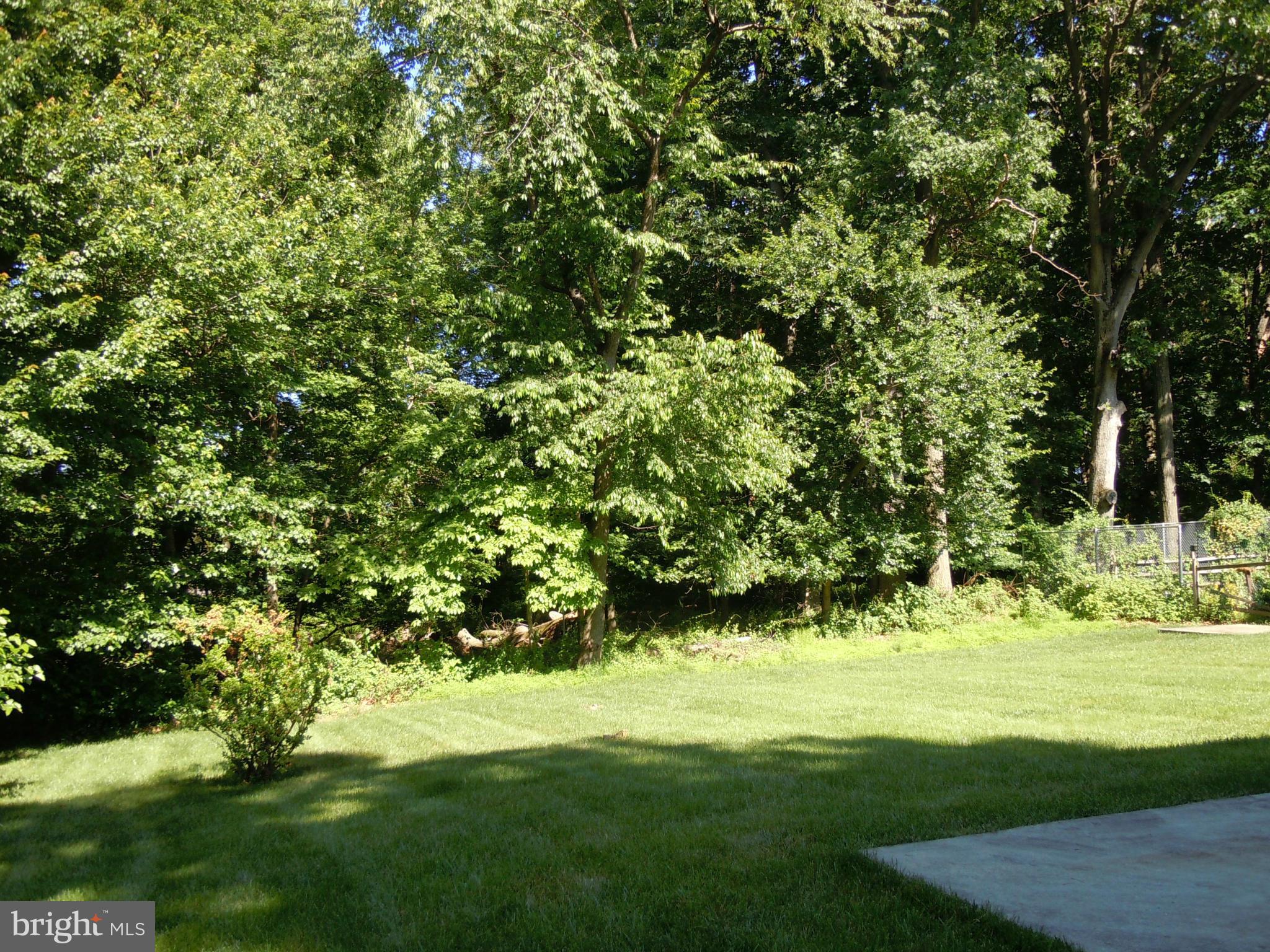 1312 Winding Waye Lane Silver Spring, MD 20902 - Photo 2 of 15 Back yard