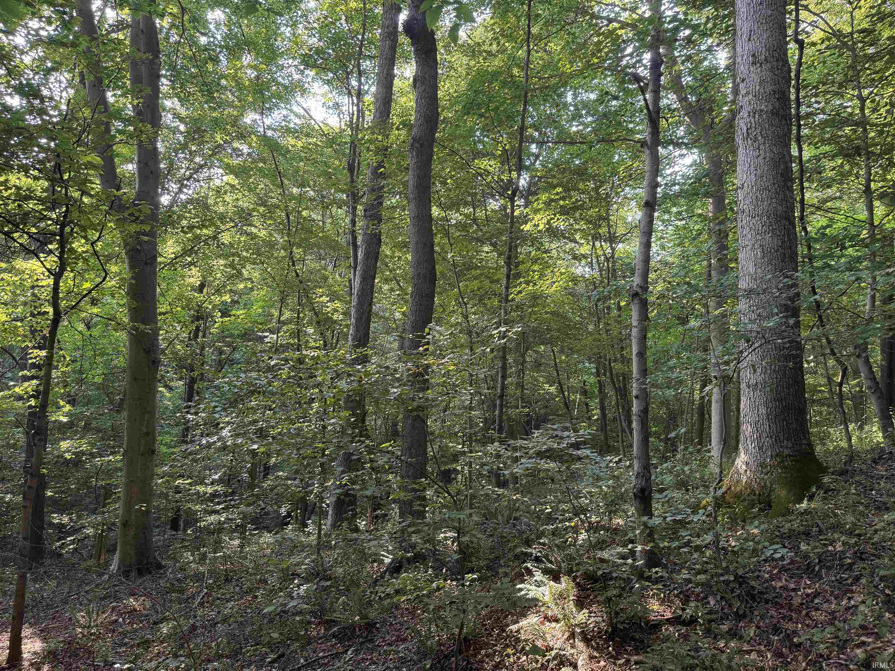 Brushy Fork Road Tell City, IN 47586 - Photo 23 of 47 Gallery Image 23