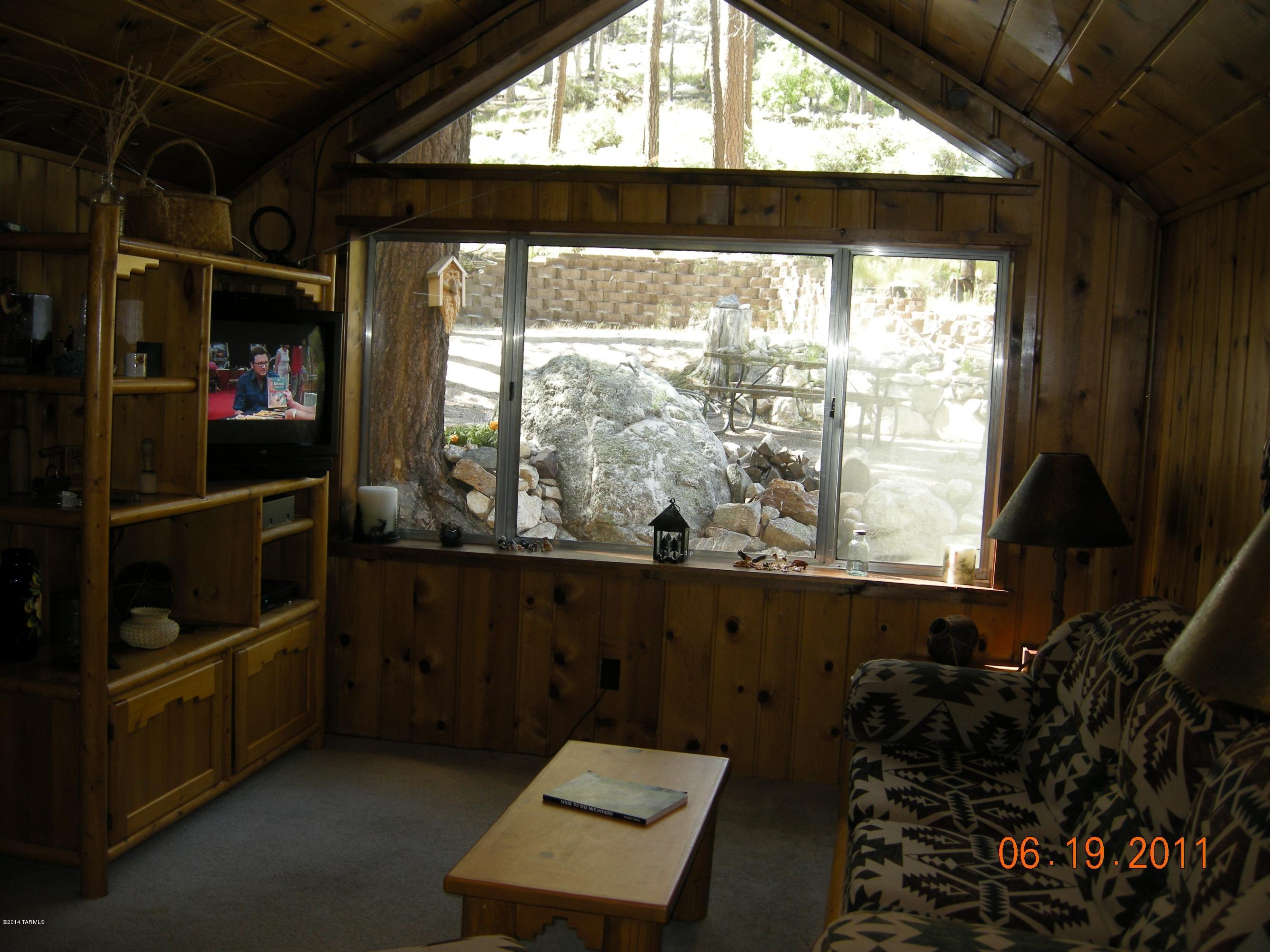 11207 East Carter Canyon Road Mount Lemmon, AZ 85619 - Photo 6 of 18