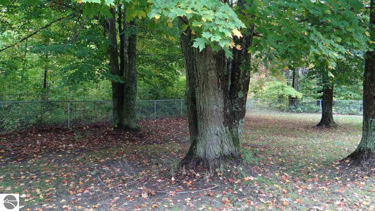 14461 Cinder Road Beulah, MI 49617 - Photo 5 of 20 1777012-4.JPG