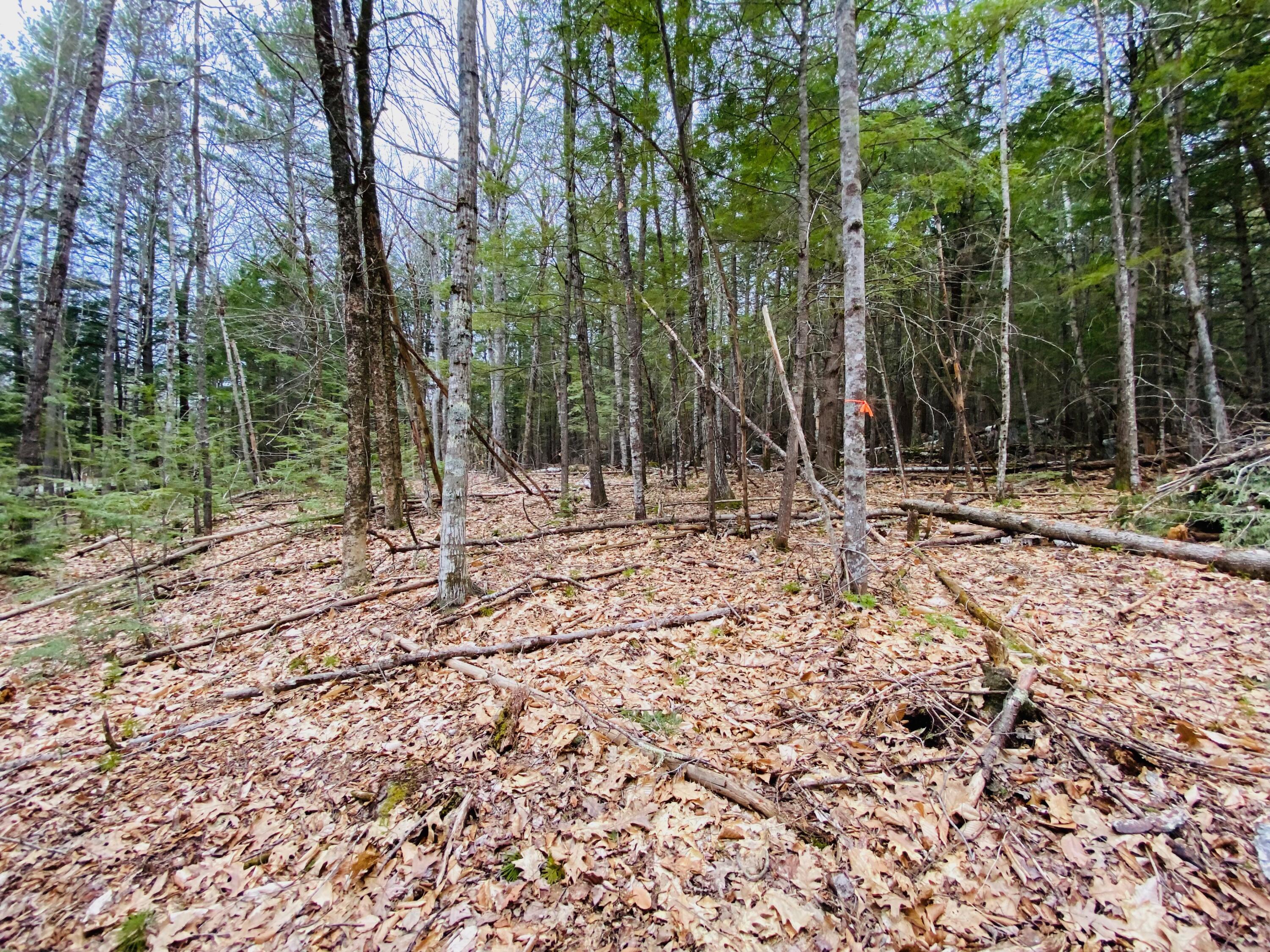 45 Shore Road Kents Hill, ME 04349 - Photo 8 of 47 BUILDING LOT