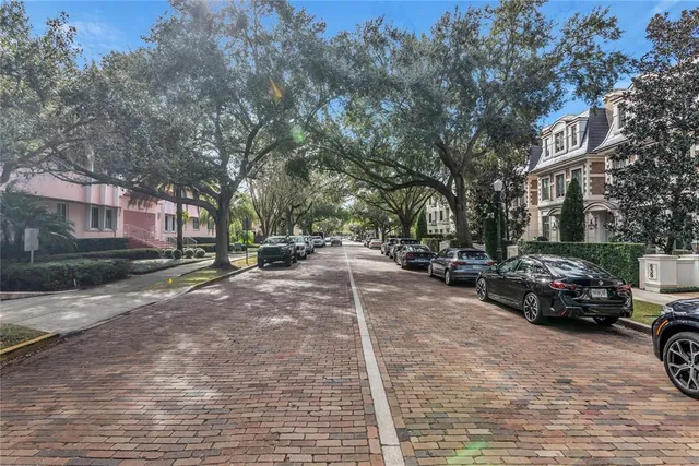 a view of a park that has large trees