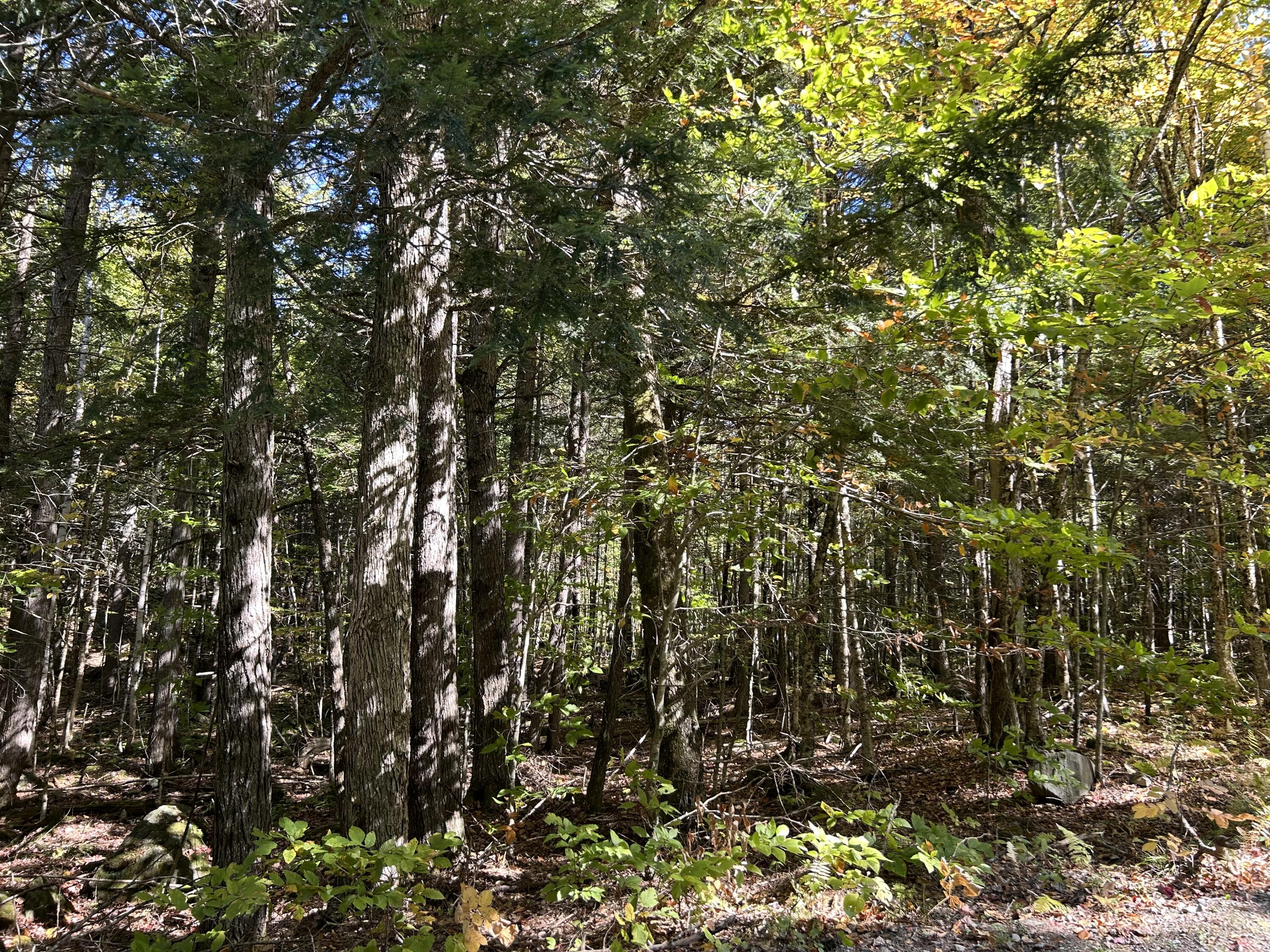 M6-l16-12-3 Beaver Brook Road Dover-Foxcroft, ME 04426 - Photo 7 of 11 IMG_1231