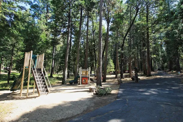 a view of a park with bench and trees