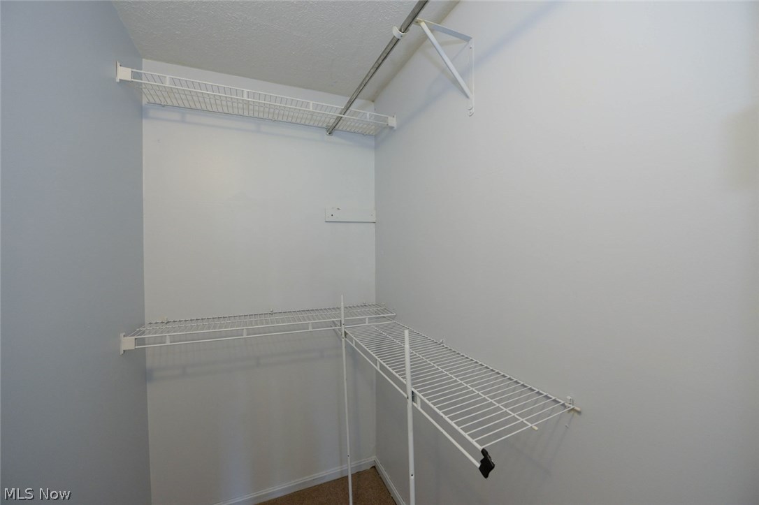 8073 South Cleveland Massillon Road Clinton, OH 44216 - Photo 23 of 35 7x4 walk-in closet -Master