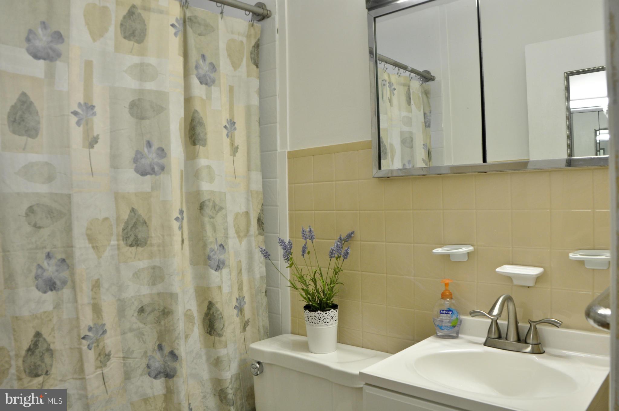 7317 Inzer Street Springfield, VA 22151 - Photo 12 of 15 Bath
