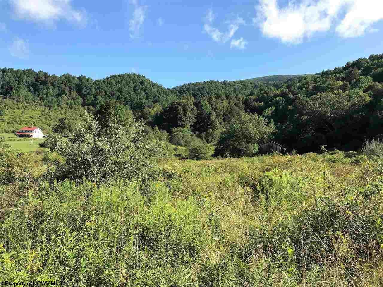 Back Back Hollow Hendricks, WV 26271 - Photo 1 of 4 Gallery Image 1