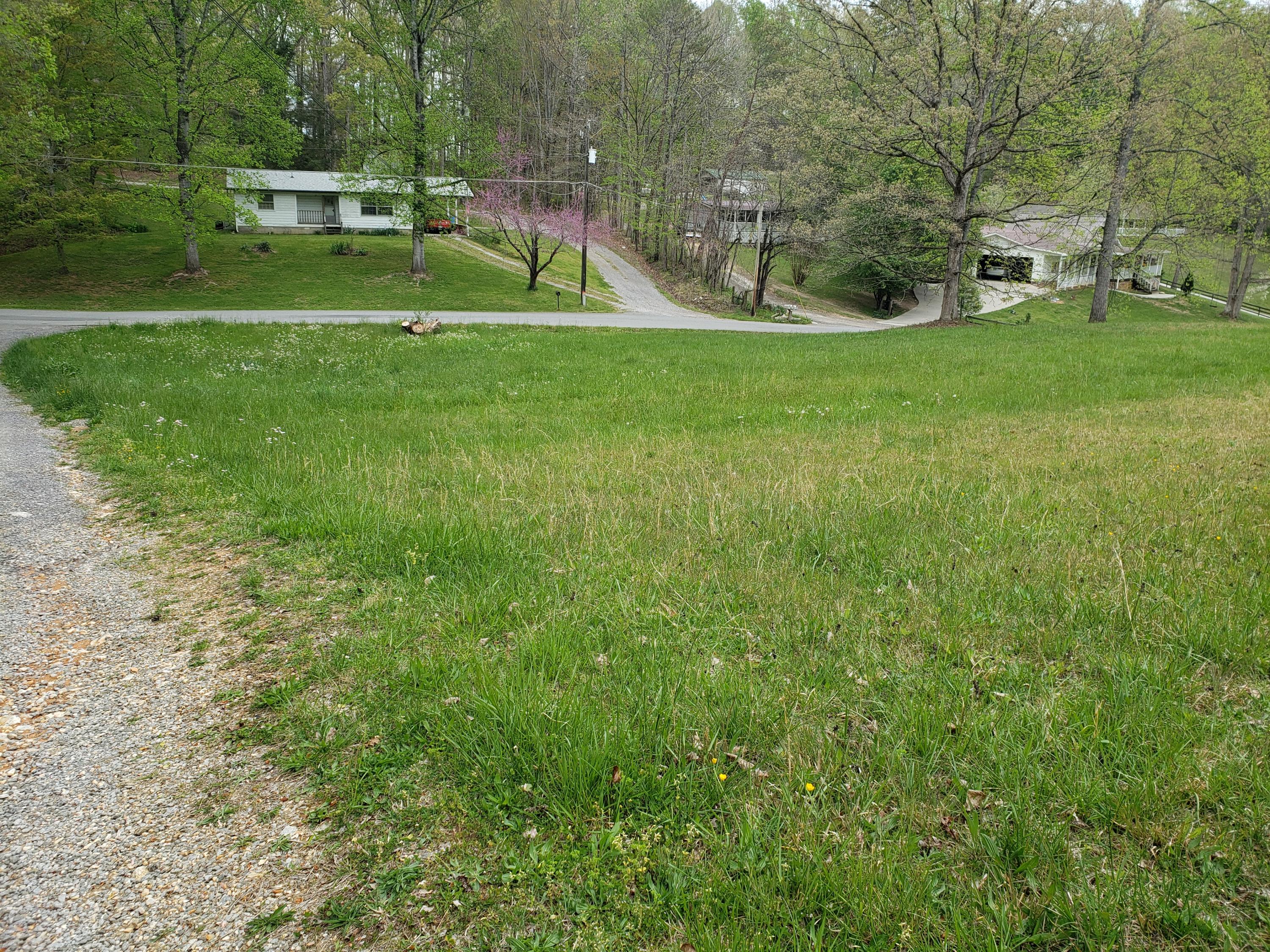 Elvin Hill Road Maynardville, TN 37807 - Photo 2 of 4 Elvin Hill Road 2