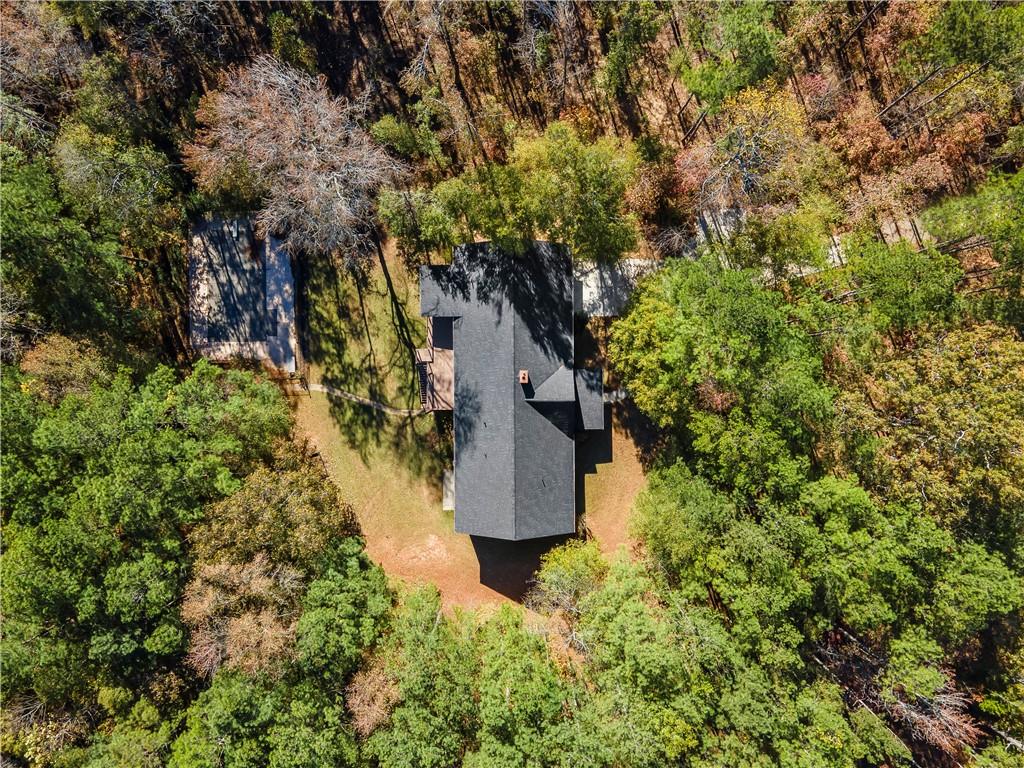 5478 Flakes Mill Road Ellenwood, GA 30294 - Photo 25 of 30 a view of a yard with plants and large trees