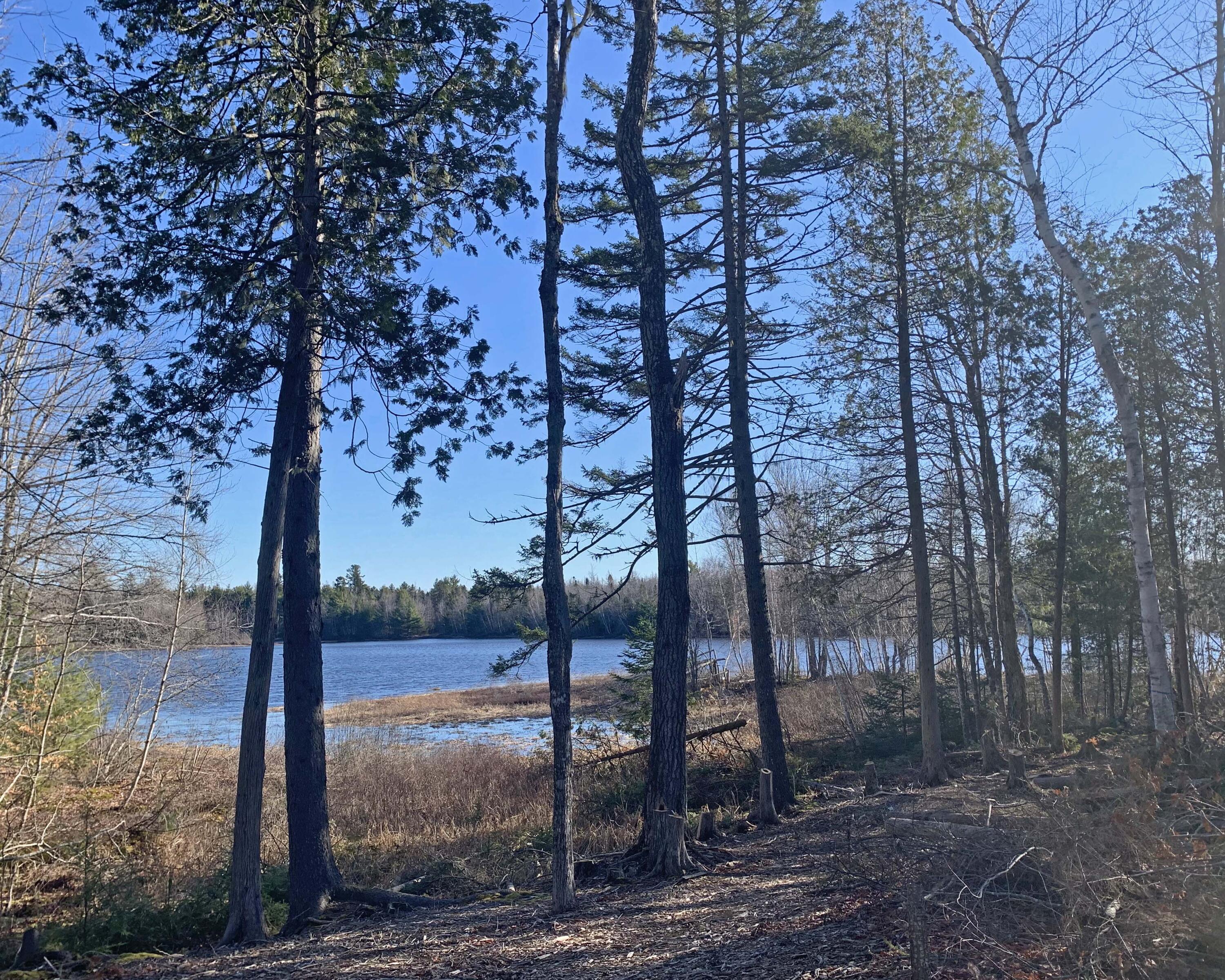 170 Tannery Brook Road Ellsworth, ME 04605 - Photo 7 of 43 1g