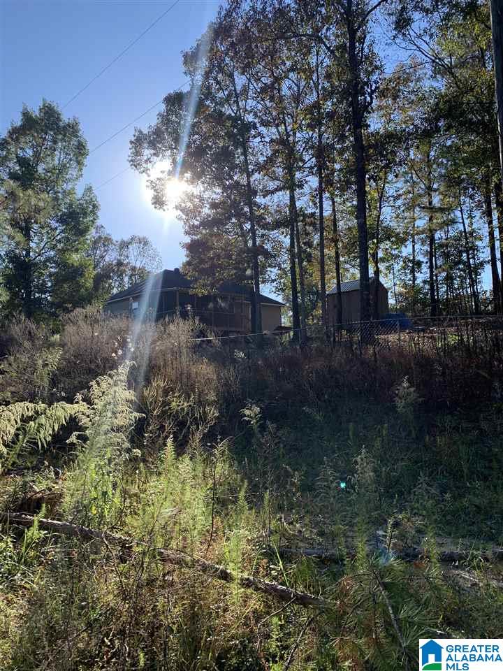 2555 Evergreen Road, Unit 1 Springville, AL 35146 - Photo 6 of 6