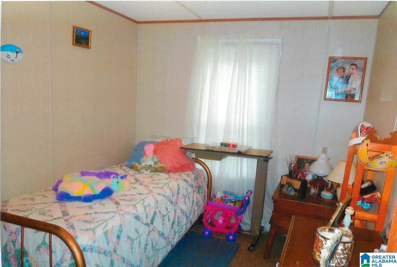 109 Castleberry Hollow Road Cropwell, AL 35054 - Photo 16 of 19