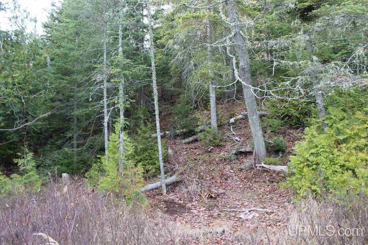 Tbd Tbd Off Mandan Loop Road Mohawk, MI 49950 - Photo 10 of 42