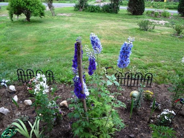 36 Campground Road Livermore Falls, ME 04254 - Photo 5 of 21 Photo