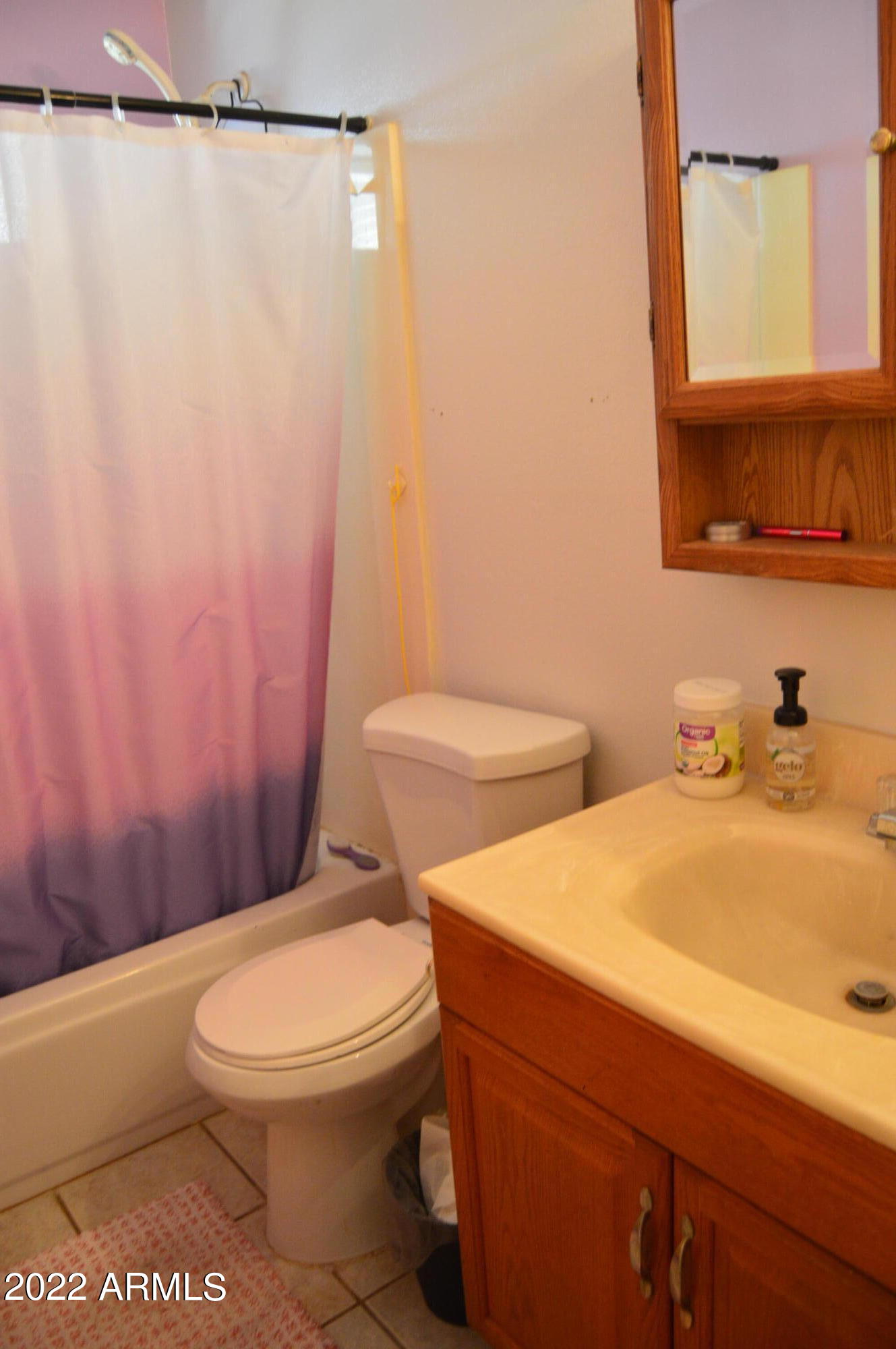 444 North Mountain Road Mesa, AZ 85207 - Photo 10 of 20 DSC_0009