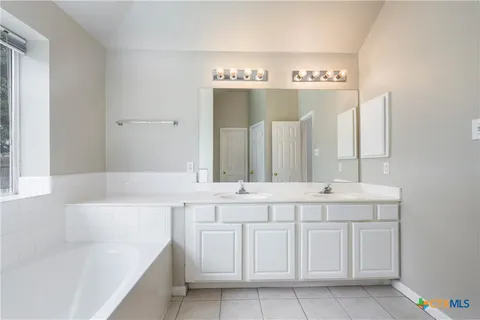a bathroom with a sink double vanity and a bathtub
