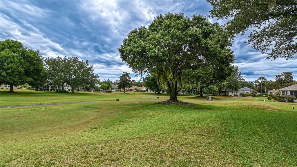 13260 Southeast 92nd Court Road Summerfield, FL 34491 - Photo 16 of 62
