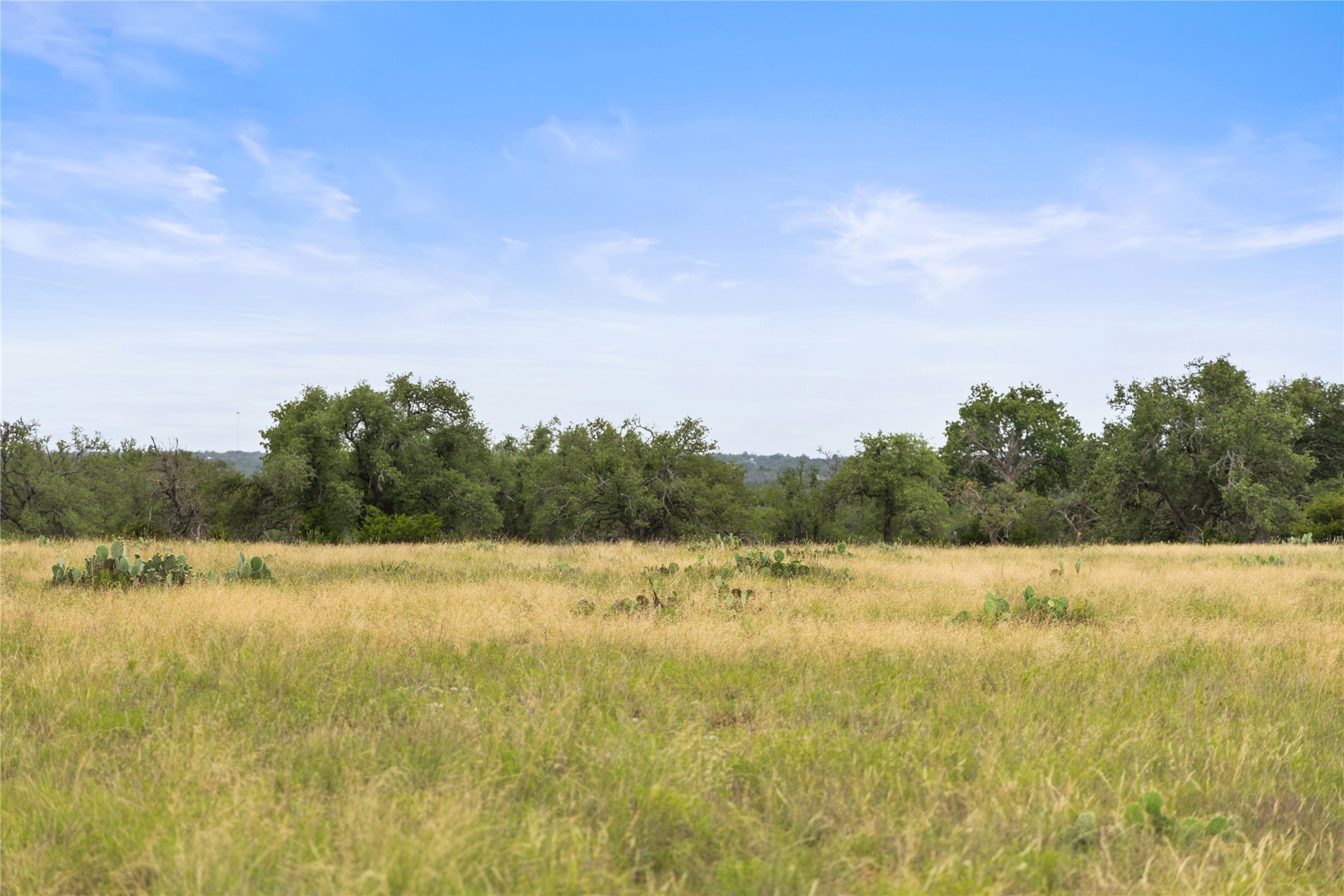 3049 Reservation Road Harper, TX 78631 - Photo 35 of 40 a view of a lake view