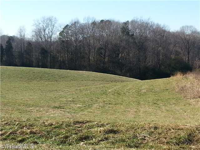3558 Mechanic Road Asheboro, NC 27205 - Photo 4 of 16 Land. Rolling Pasture Land