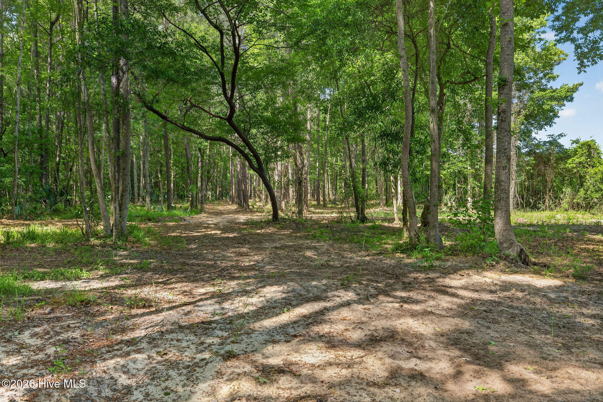 451 Governors Road Southeast Winnabow, NC 28479 - Photo 52 of 60 451GovernorsRoadSE-17