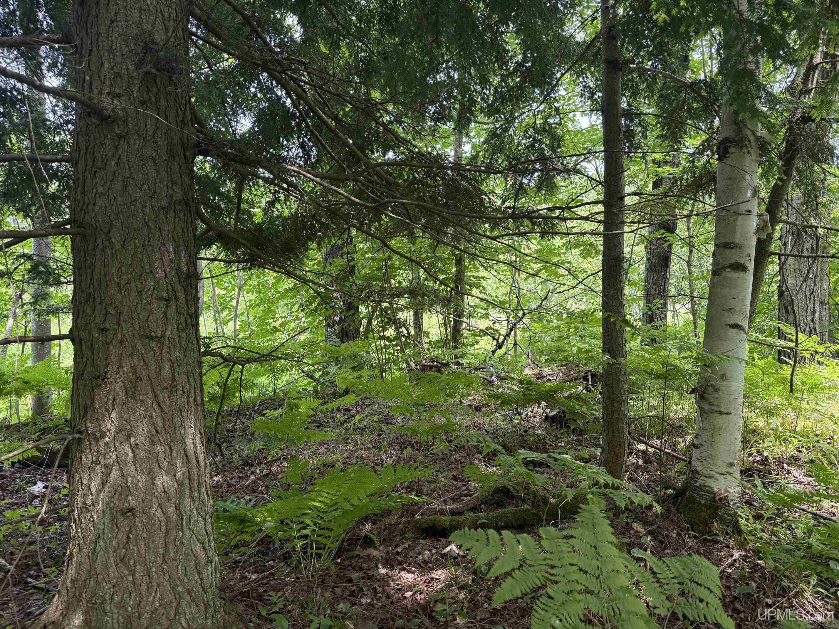 Tbd42 Skanee Road Lanse, MI 49946 - Photo 8 of 15