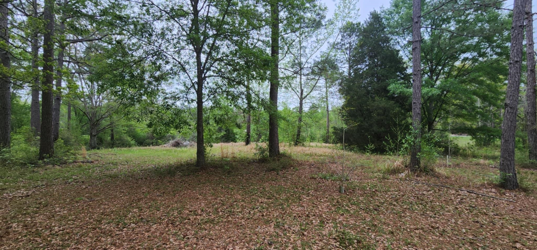 24407 Patterson Road Robertsdale, AL 36567 - Photo 7 of 18 View