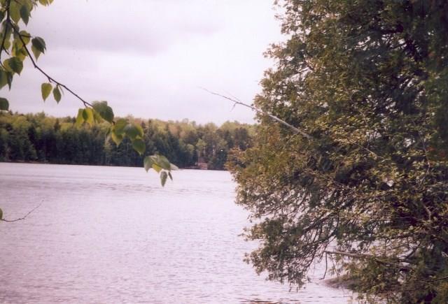 Lot 13 Houston Road Lincoln, ME 04457 - Photo 2 of 4 Photo