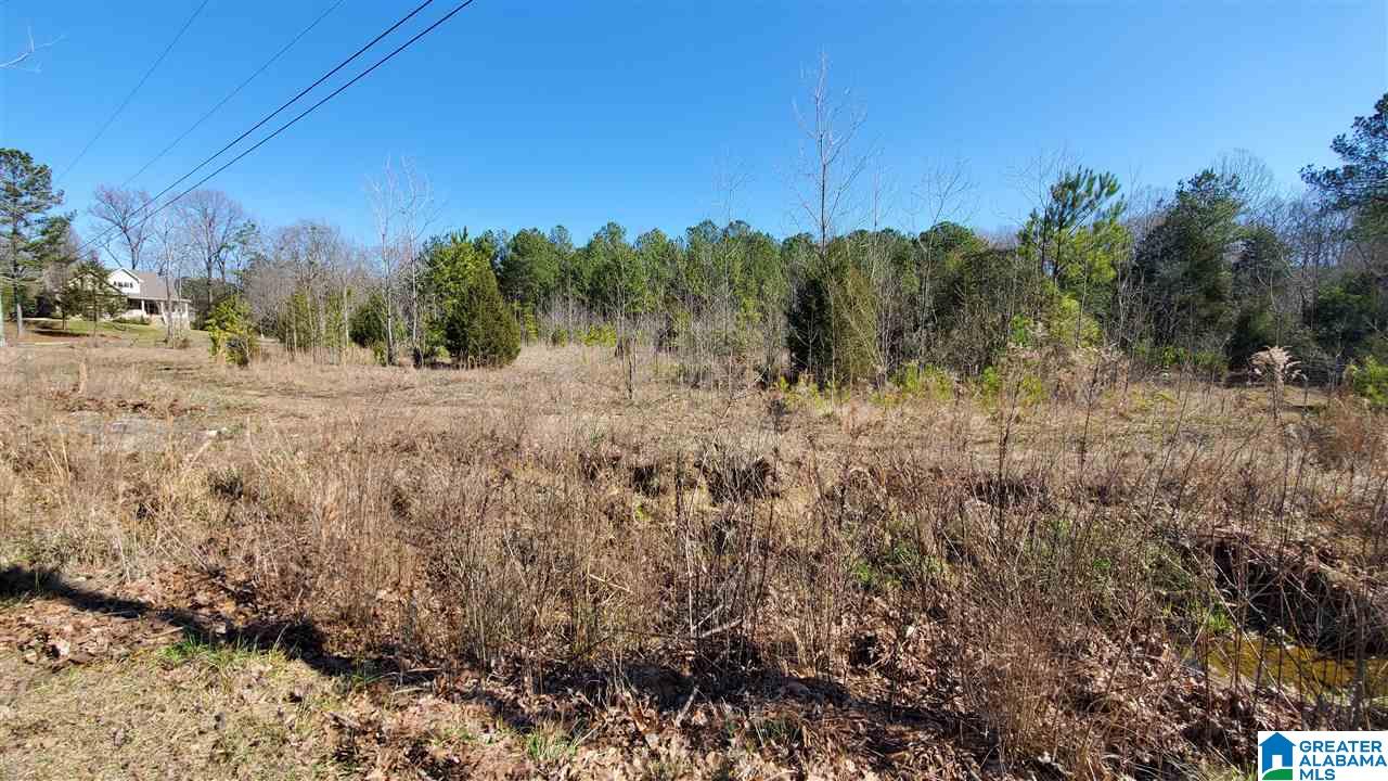 400 Eaglewood Farms Road, Unit 4A Alabaster, AL 35114 - Photo 2 of 4