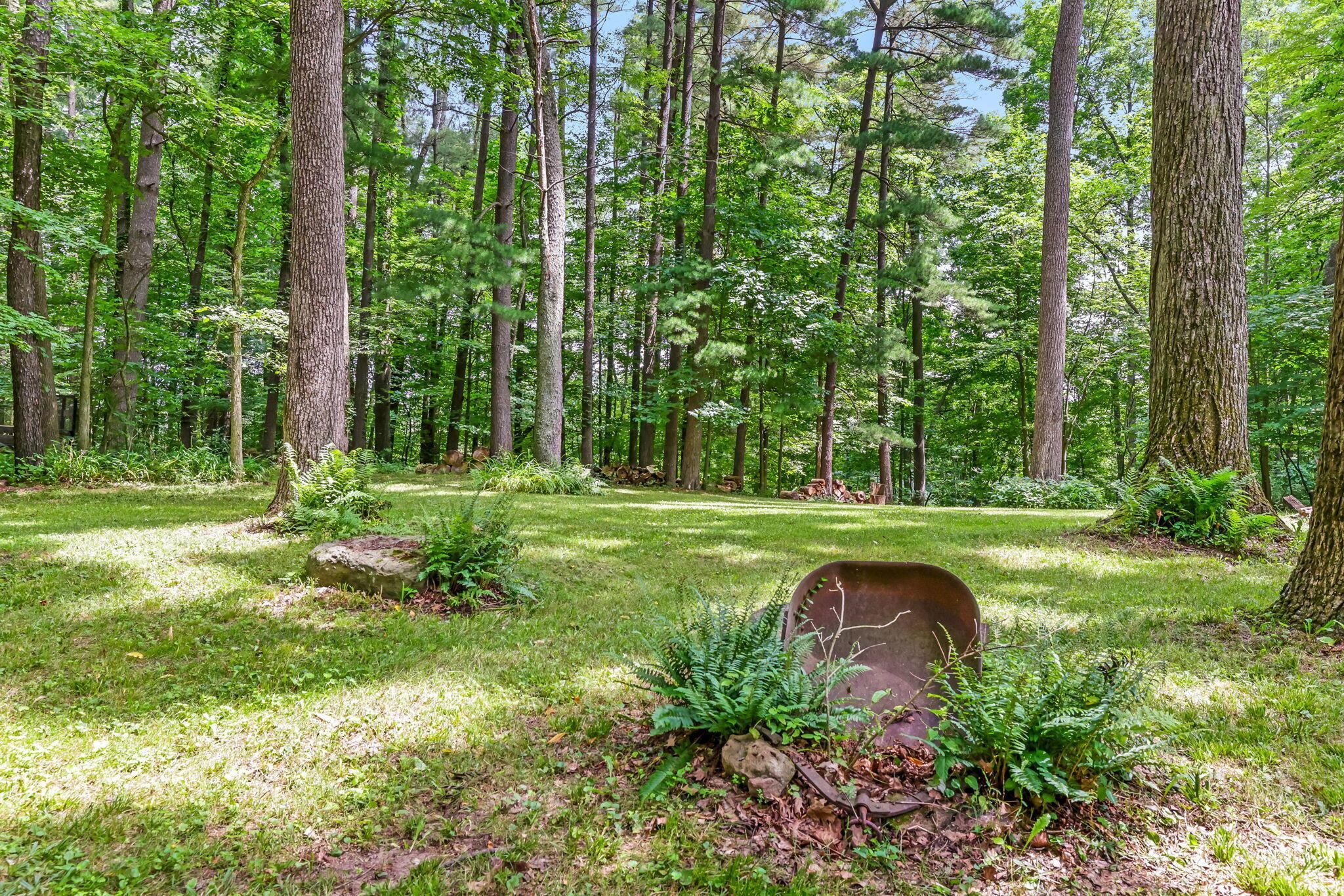 1259 State Rte 97 East Bellville, OH 44813 - Photo 76 of 103 Side Yard