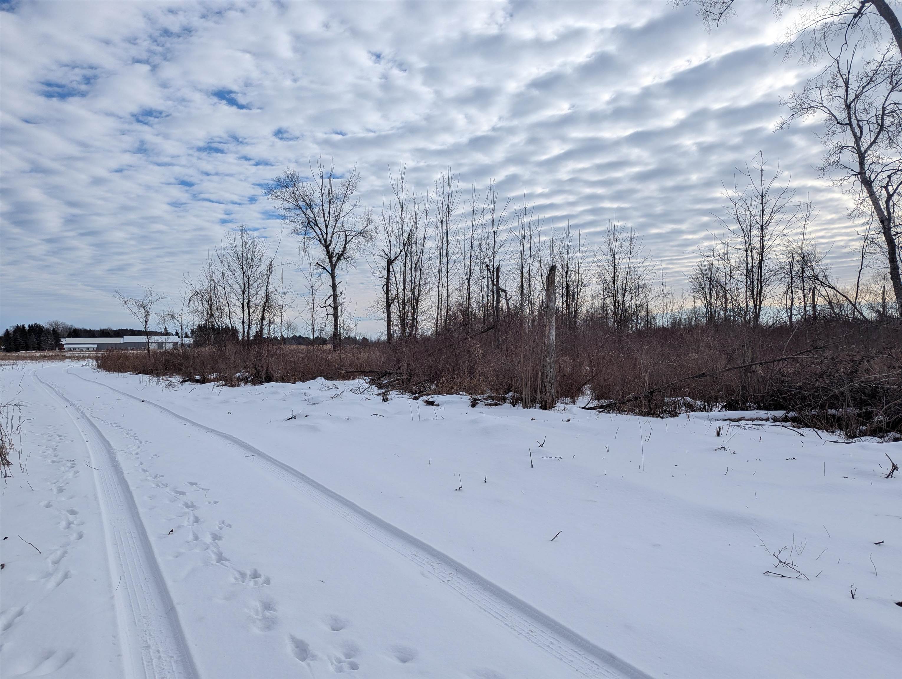 N/a Swenson Road Au Gres, MI 48703 - Photo 7 of 15
