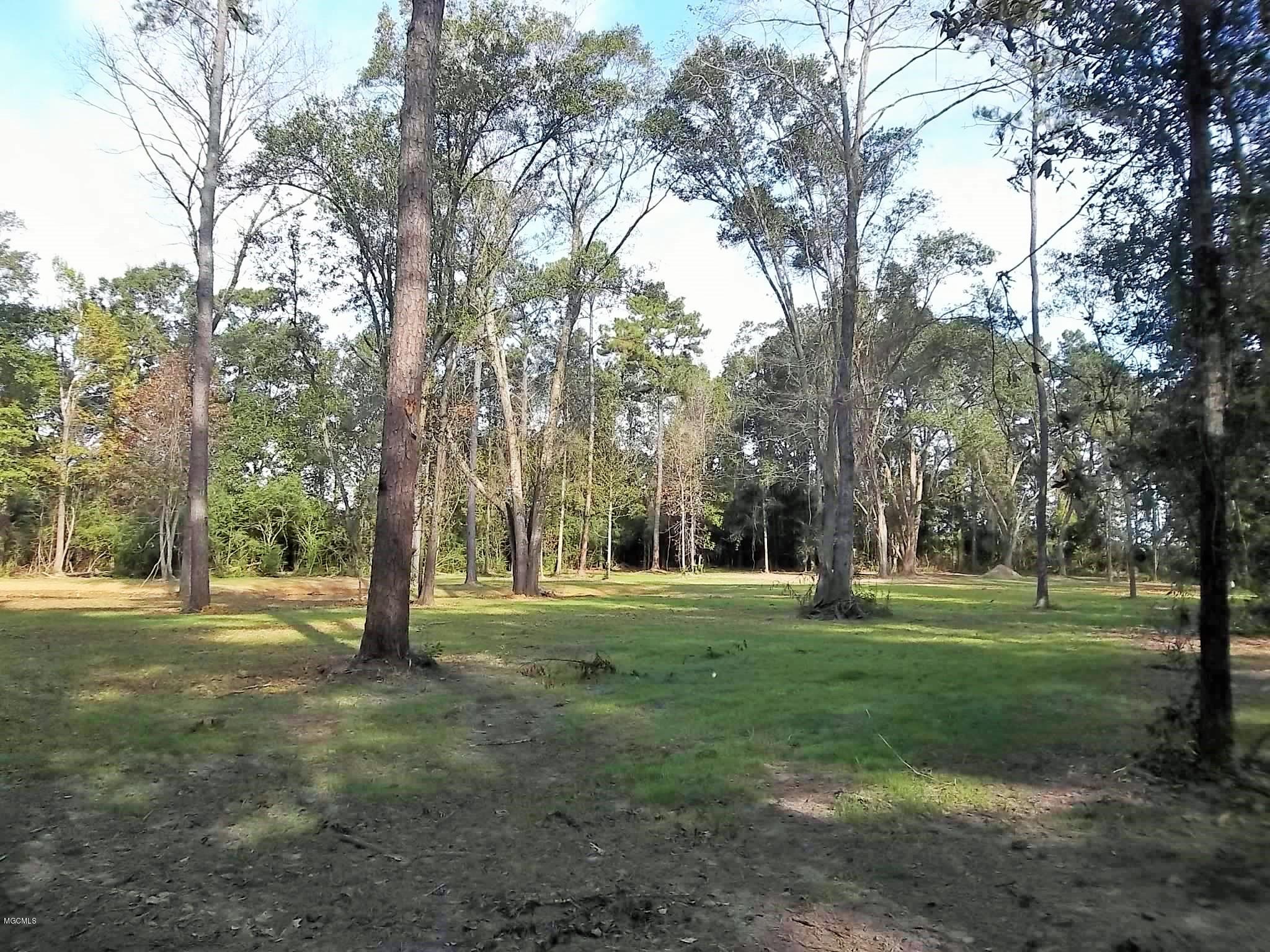 Tbv Jodie Baxter Road Lucedale, MS 39452 - Photo 1 of 15 100_6670