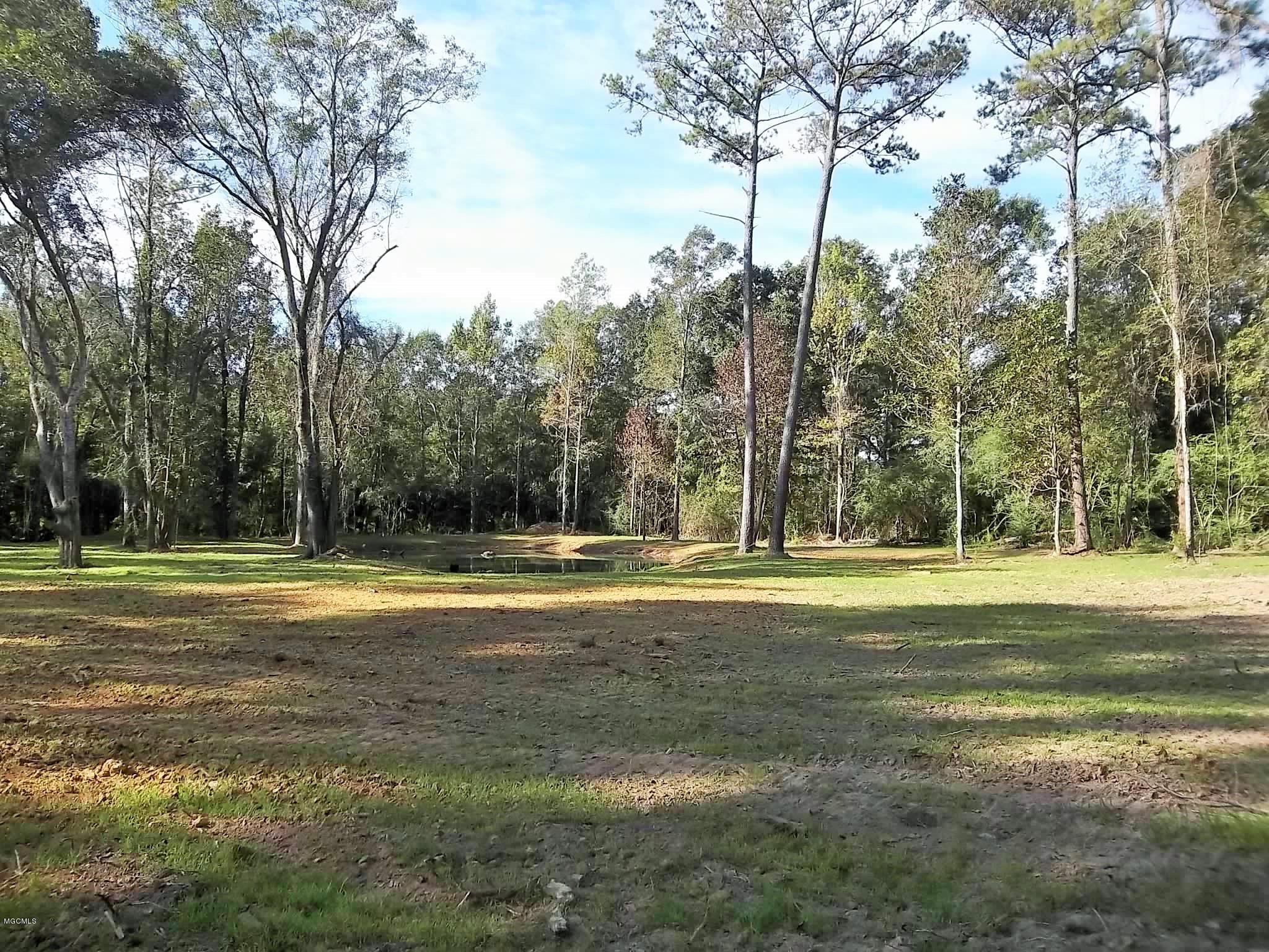 Tbv Jodie Baxter Road Lucedale, MS 39452 - Photo 11 of 15 100_6686