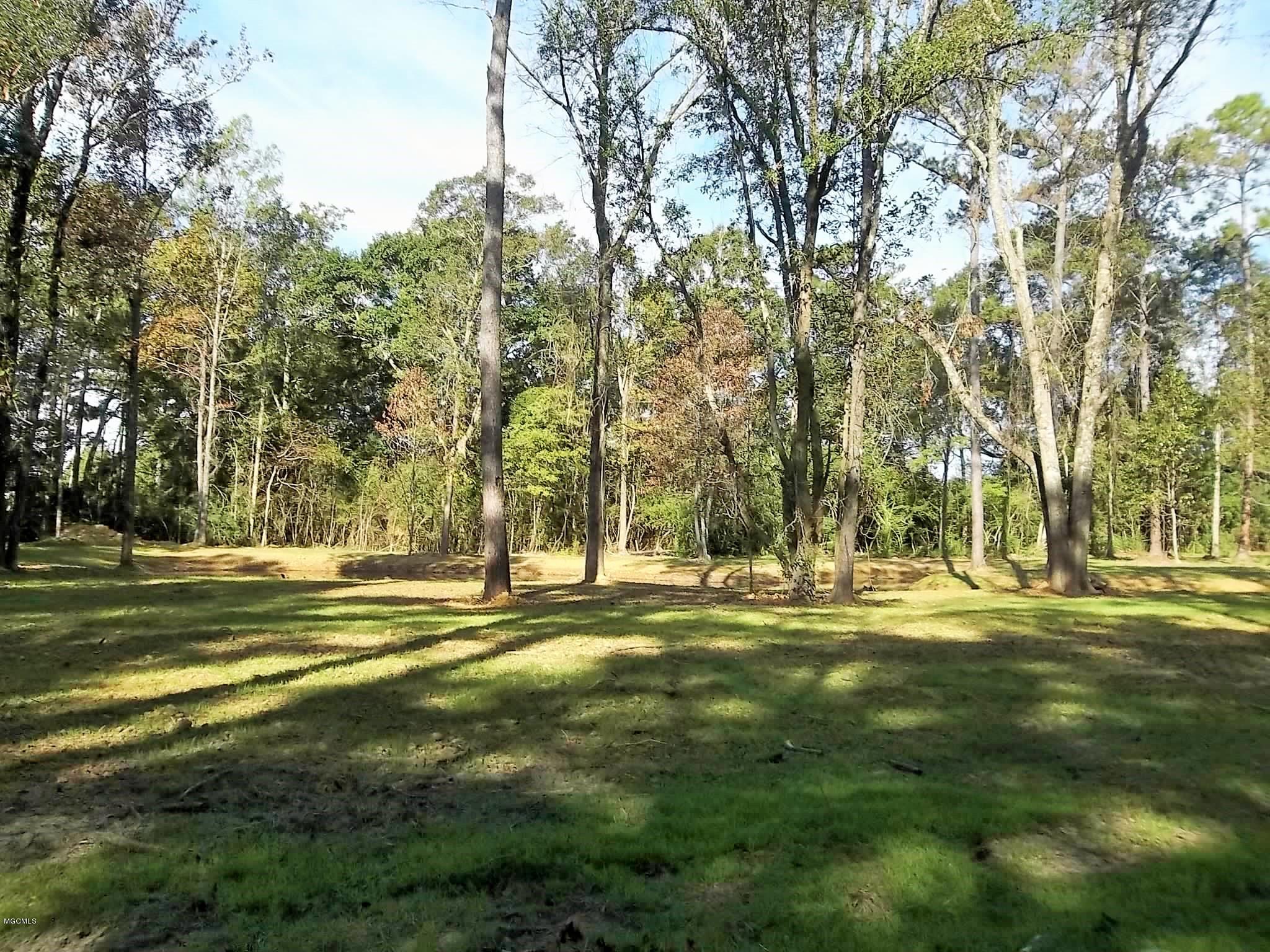 Tbv Jodie Baxter Road Lucedale, MS 39452 - Photo 15 of 15 100_6693
