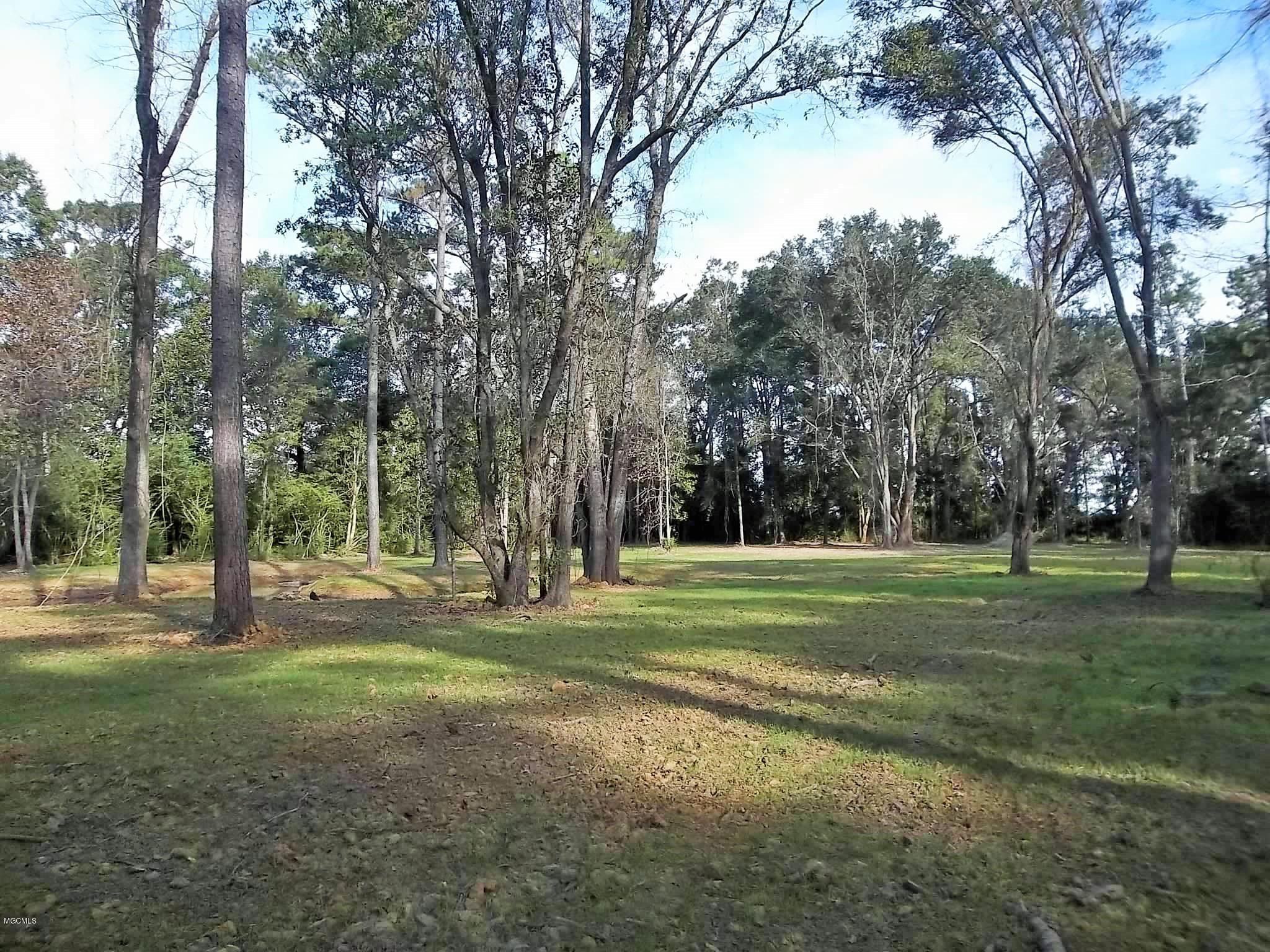 Tbv Jodie Baxter Road Lucedale, MS 39452 - Photo 2 of 15 100_6671