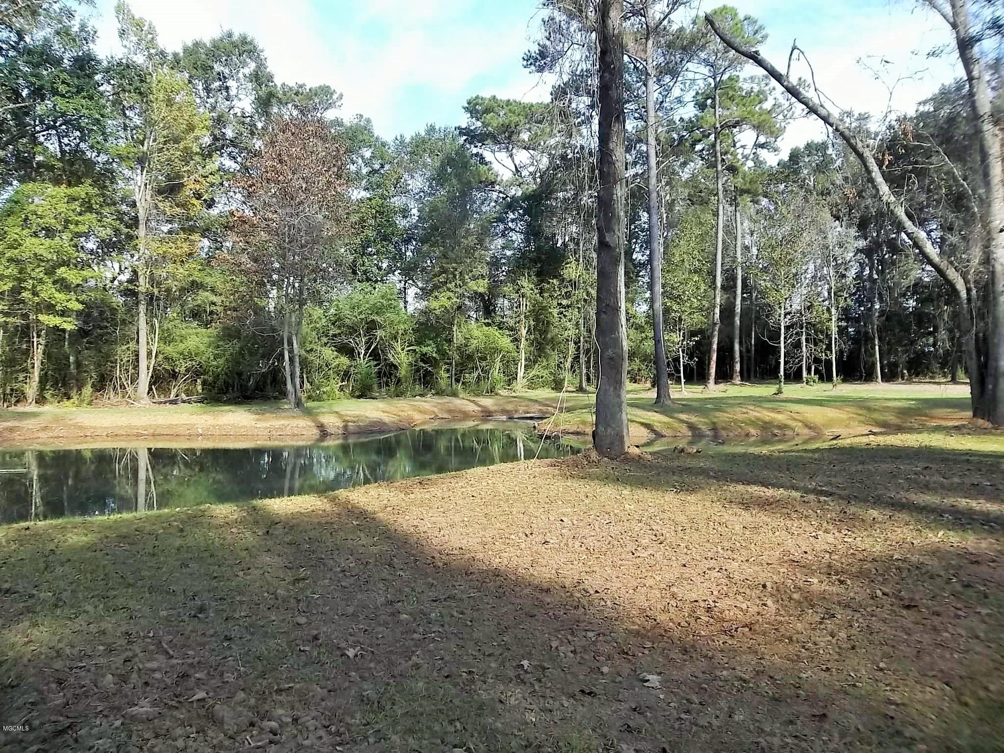 Tbv Jodie Baxter Road Lucedale, MS 39452 - Photo 3 of 15 100_6672
