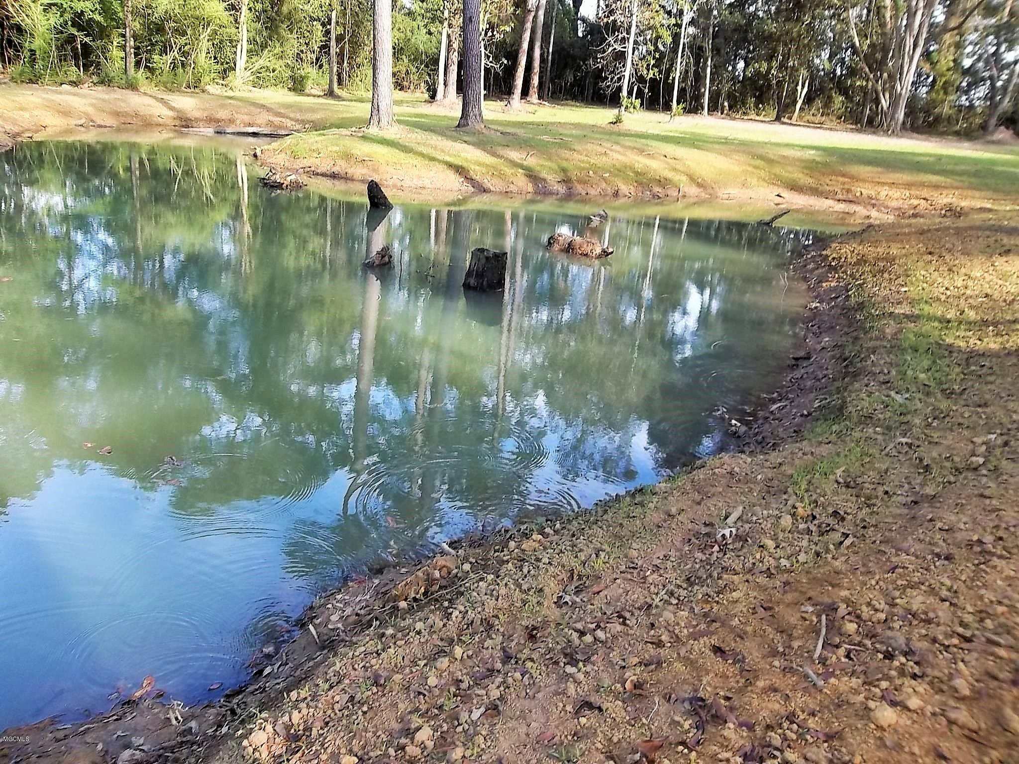 Tbv Jodie Baxter Road Lucedale, MS 39452 - Photo 5 of 15 100_6674