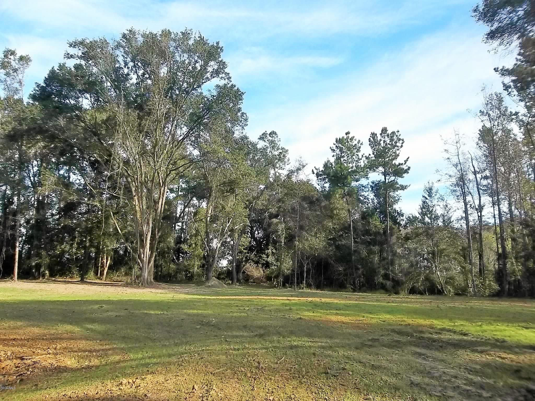 Tbv Jodie Baxter Road Lucedale, MS 39452 - Photo 6 of 15 100_6676