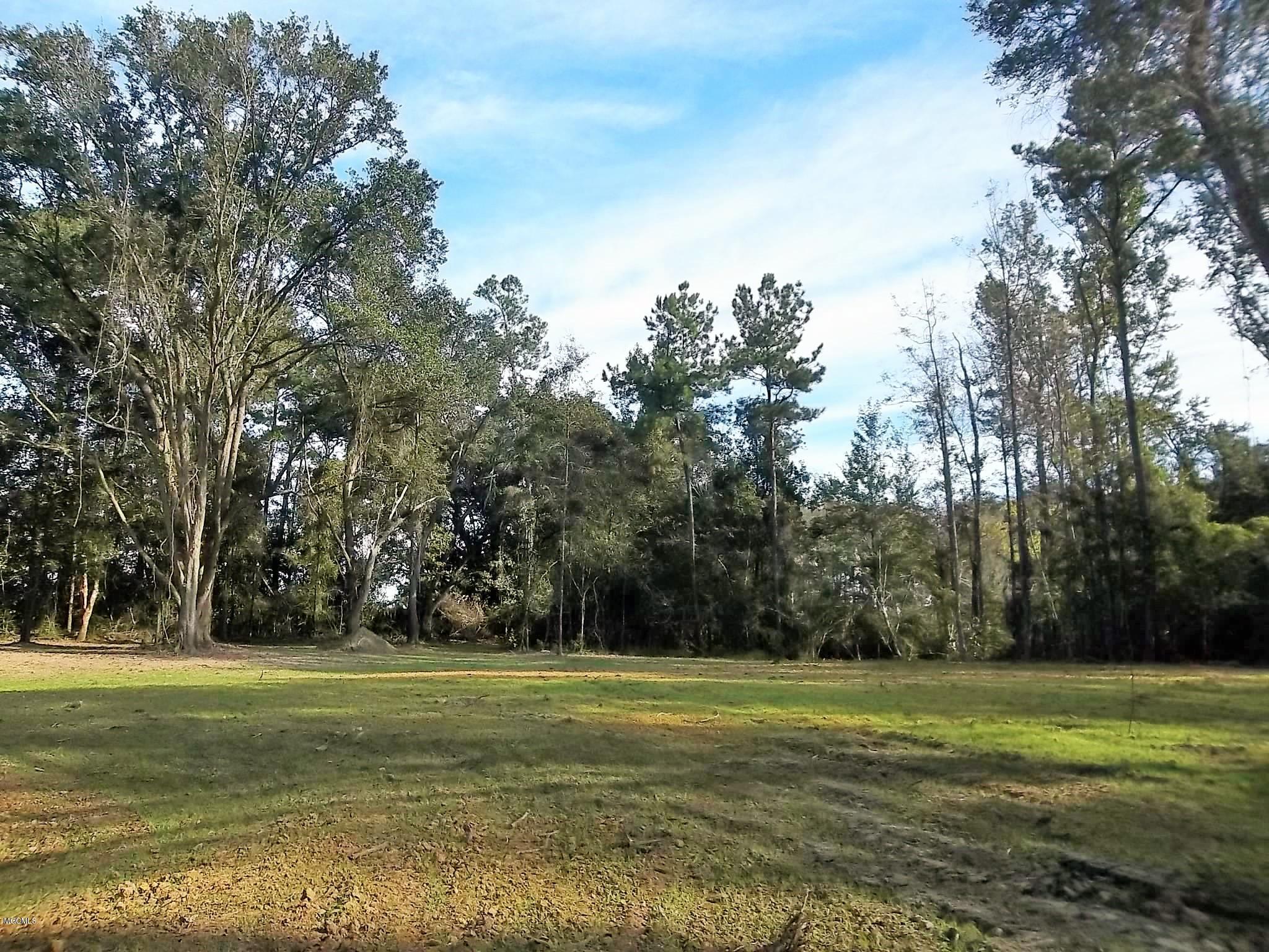 Tbv Jodie Baxter Road Lucedale, MS 39452 - Photo 7 of 15 100_6677