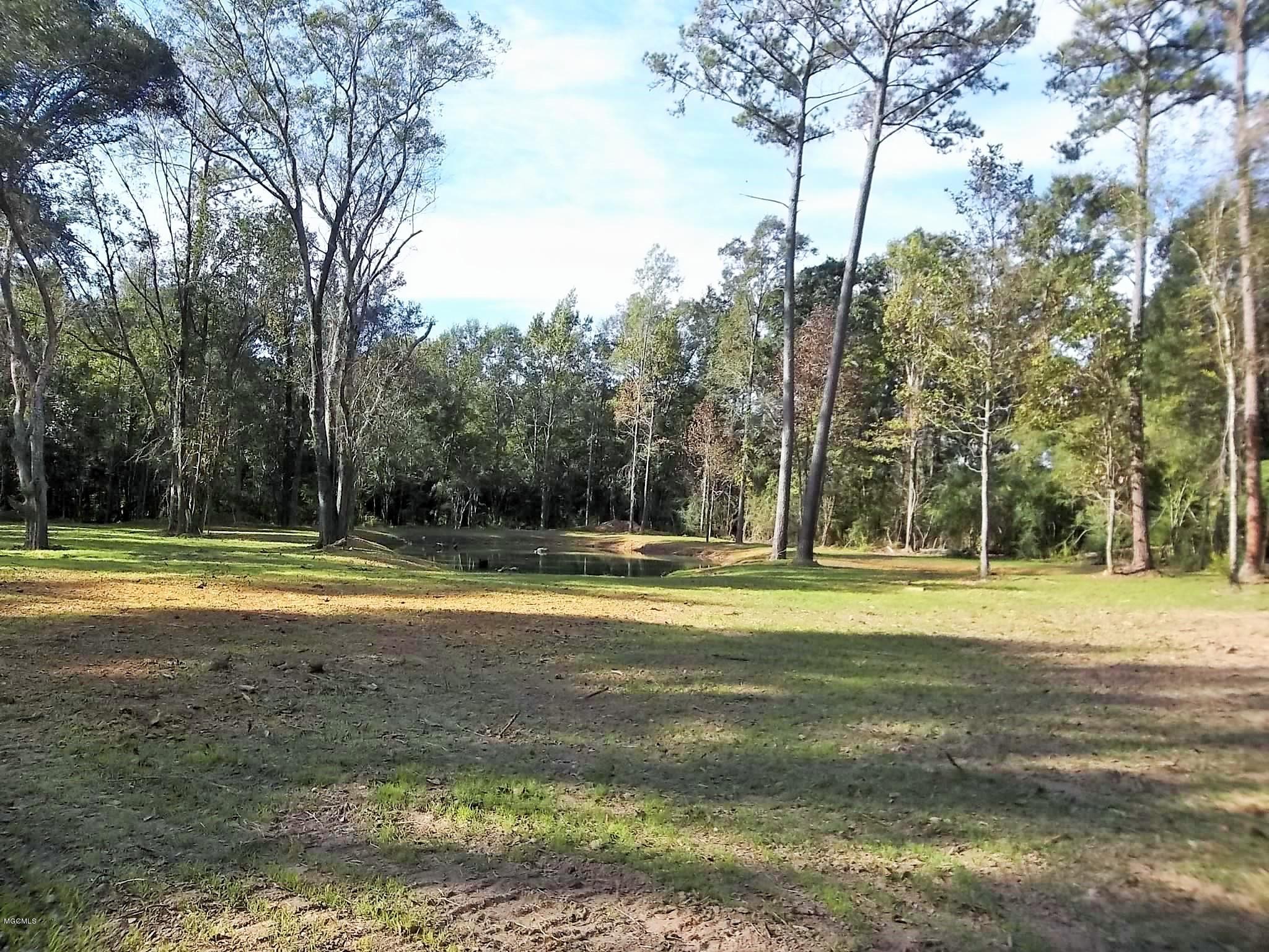 Tbv Jodie Baxter Road Lucedale, MS 39452 - Photo 10 of 15 100_6683
