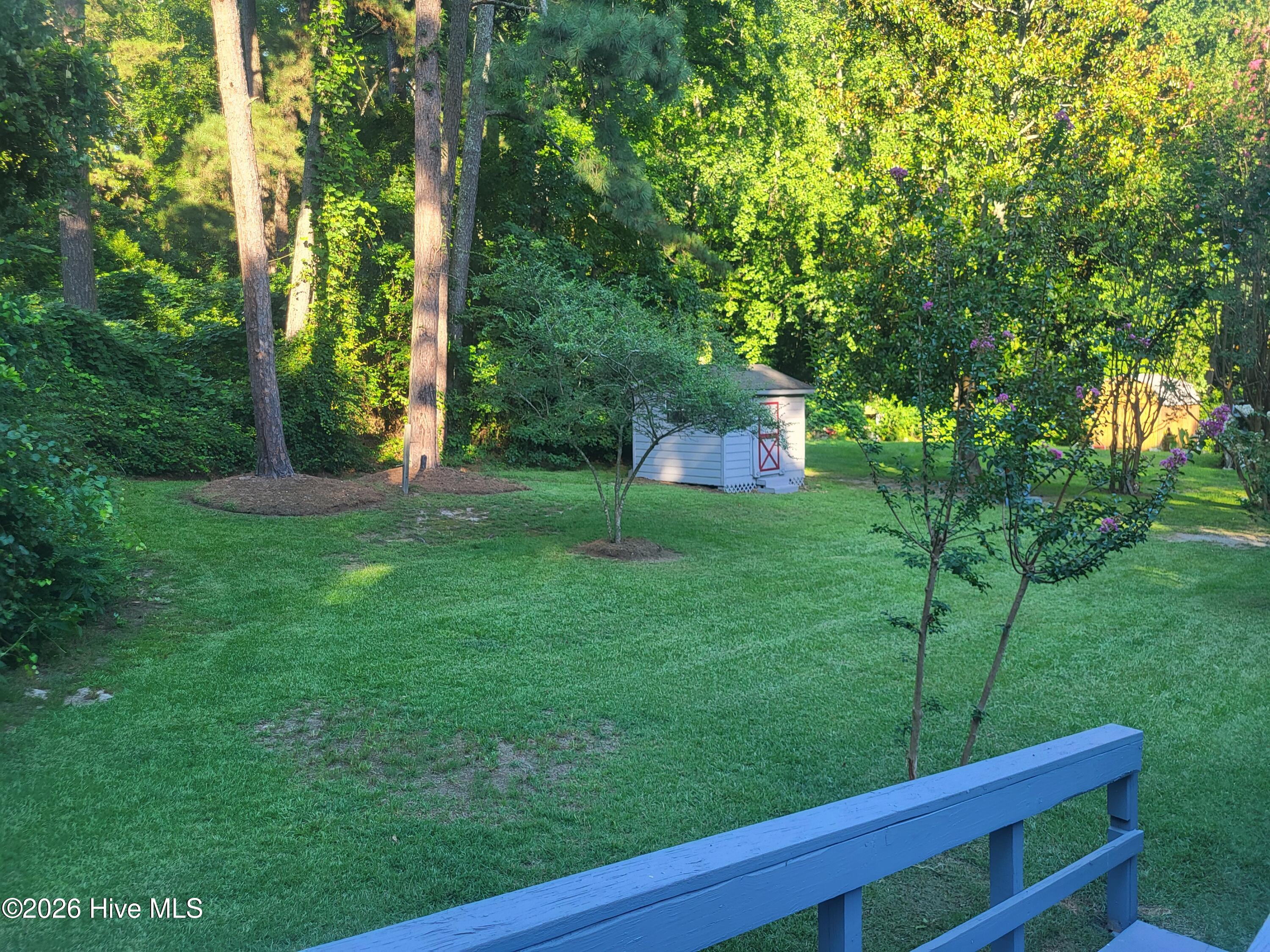 716 Pinecrest Street Carthage, NC 28327 - Photo 41 of 50 20250728_183056
