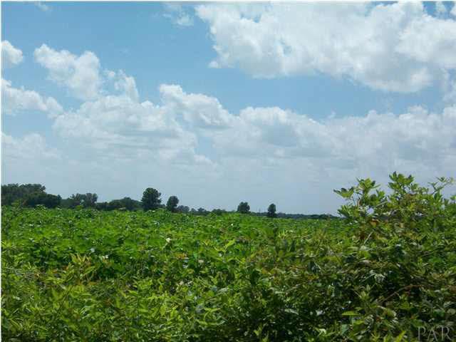 0 Chester Road Atmore, AL 36502 - Photo 3 of 11 This is a stunning view of this property site
