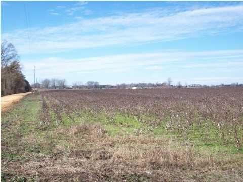0 Chester Road Atmore, AL 36502 - Photo 8 of 11 This stunning property is just waiting for you!