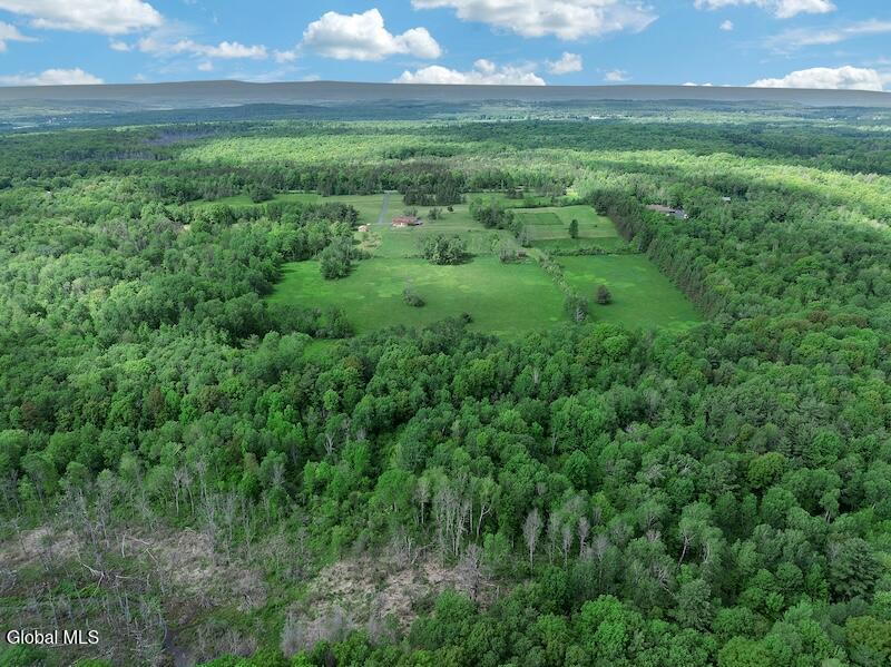 3109 Lake Road Delanson, NY 12053 - Photo 56 of 72 56) 72536-6a22135ceb43c
