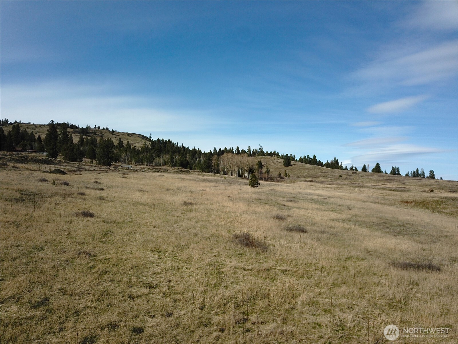 51 Valley High Road Malo, WA 99150 - Photo 16 of 36 Gallery Image 16