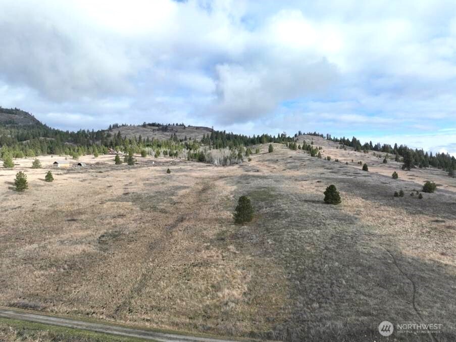 51 Valley High Road Malo, WA 99150 - Photo 20 of 36 Gallery Image 20