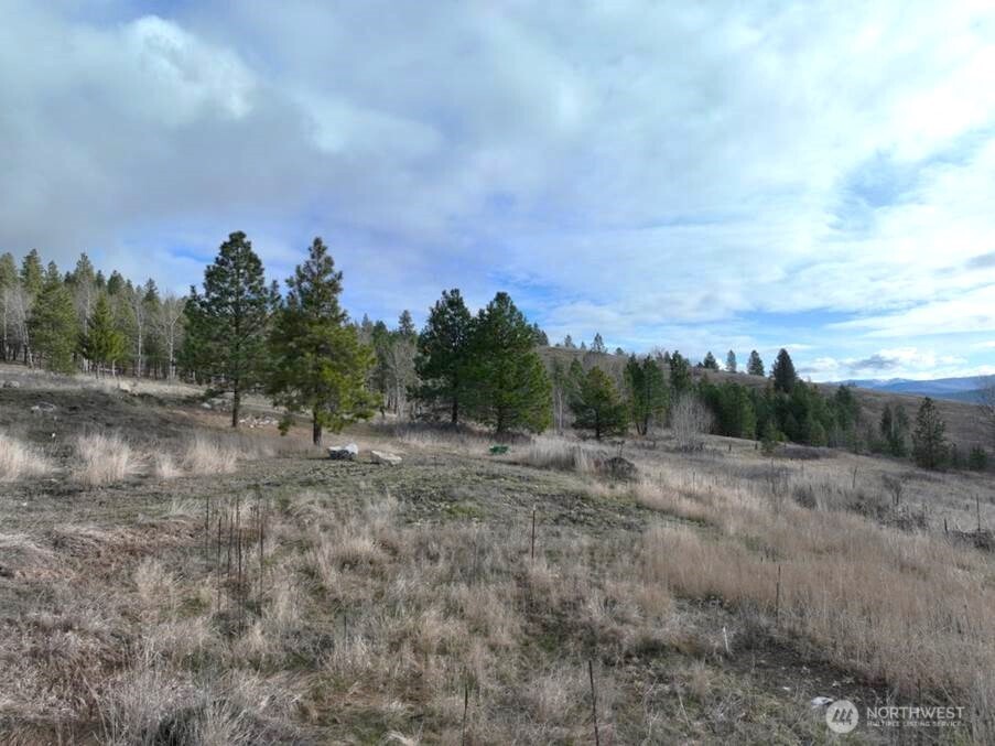 51 Valley High Road Malo, WA 99150 - Photo 21 of 36 Gallery Image 21