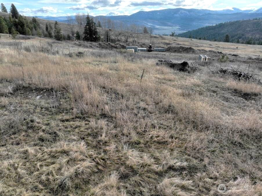51 Valley High Road Malo, WA 99150 - Photo 22 of 36 Gallery Image 22